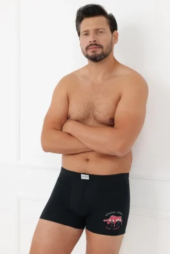 Bokserki męskie Fernando