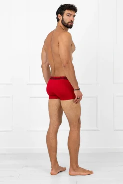 Rafael bokserki